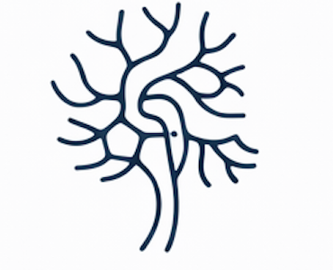 Malformações arteriovenosas